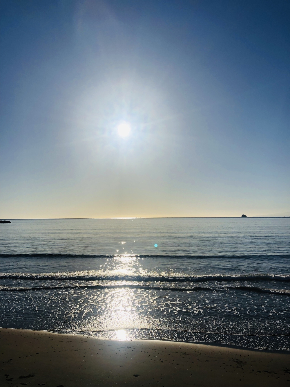 南伊豆の神秘の洞窟「龍宮窟」と奇岩群「タライ岬」を巡るトレランの写真7