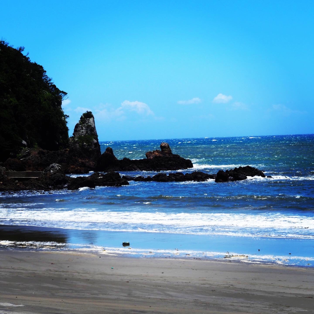 南伊豆の神秘の洞窟「龍宮窟」と奇岩群「タライ岬」を巡るトレランの写真8