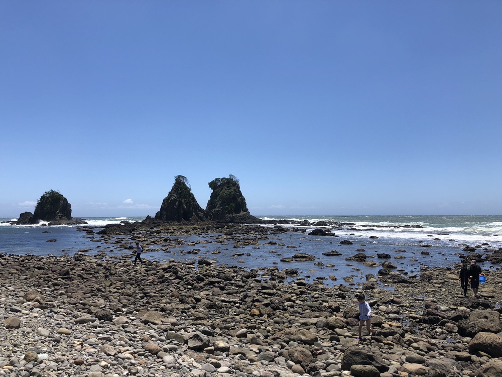 南伊豆の神秘の洞窟「龍宮窟」と奇岩群「タライ岬」を巡るトレランの写真9