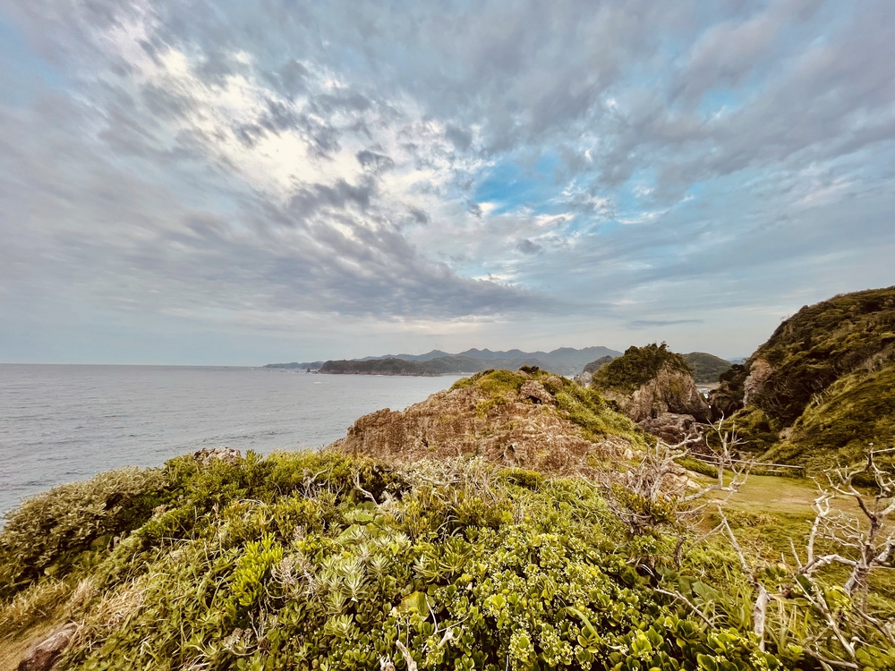 南伊豆の神秘の洞窟「龍宮窟」と奇岩群「タライ岬」を巡るトレランの写真12