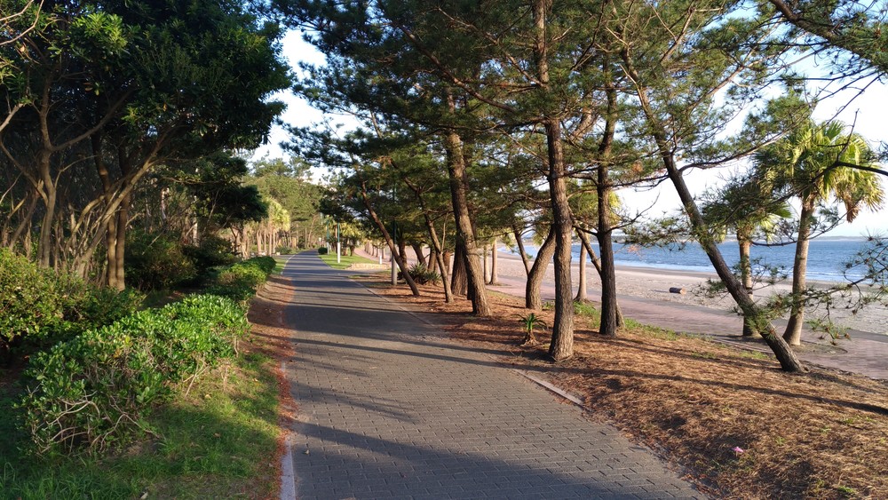 青島ビーチ＆クロスカントリーの写真4