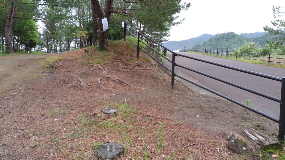 青島ビーチ＆クロスカントリーの写真5