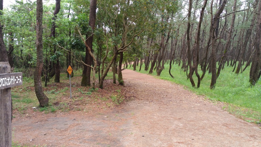 青島ビーチ＆クロスカントリーの写真6