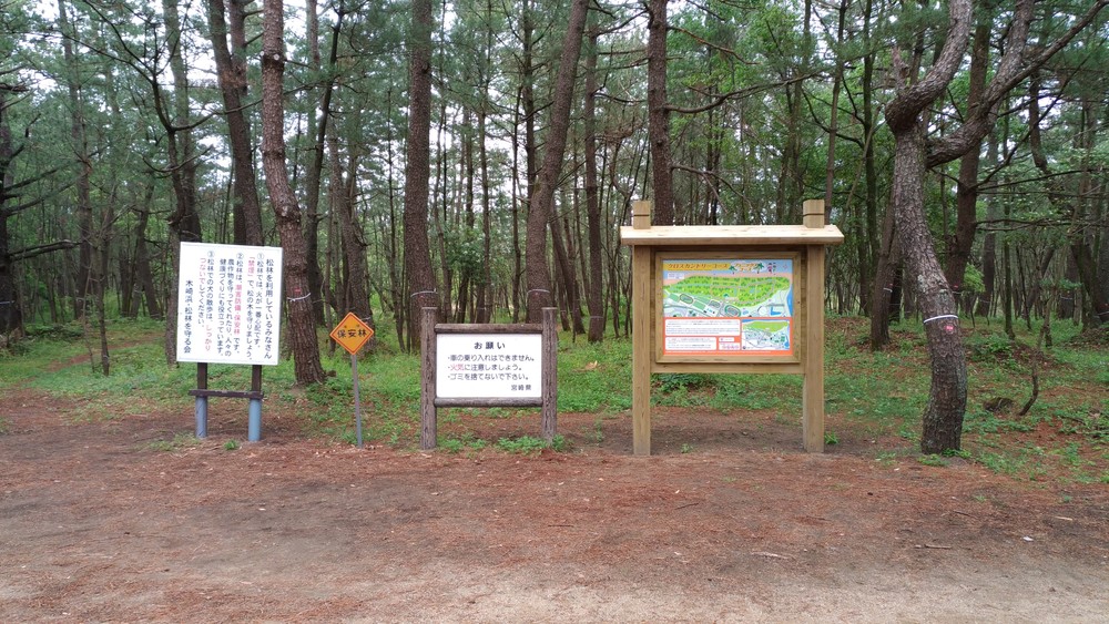 青島ビーチ＆クロスカントリーの写真7