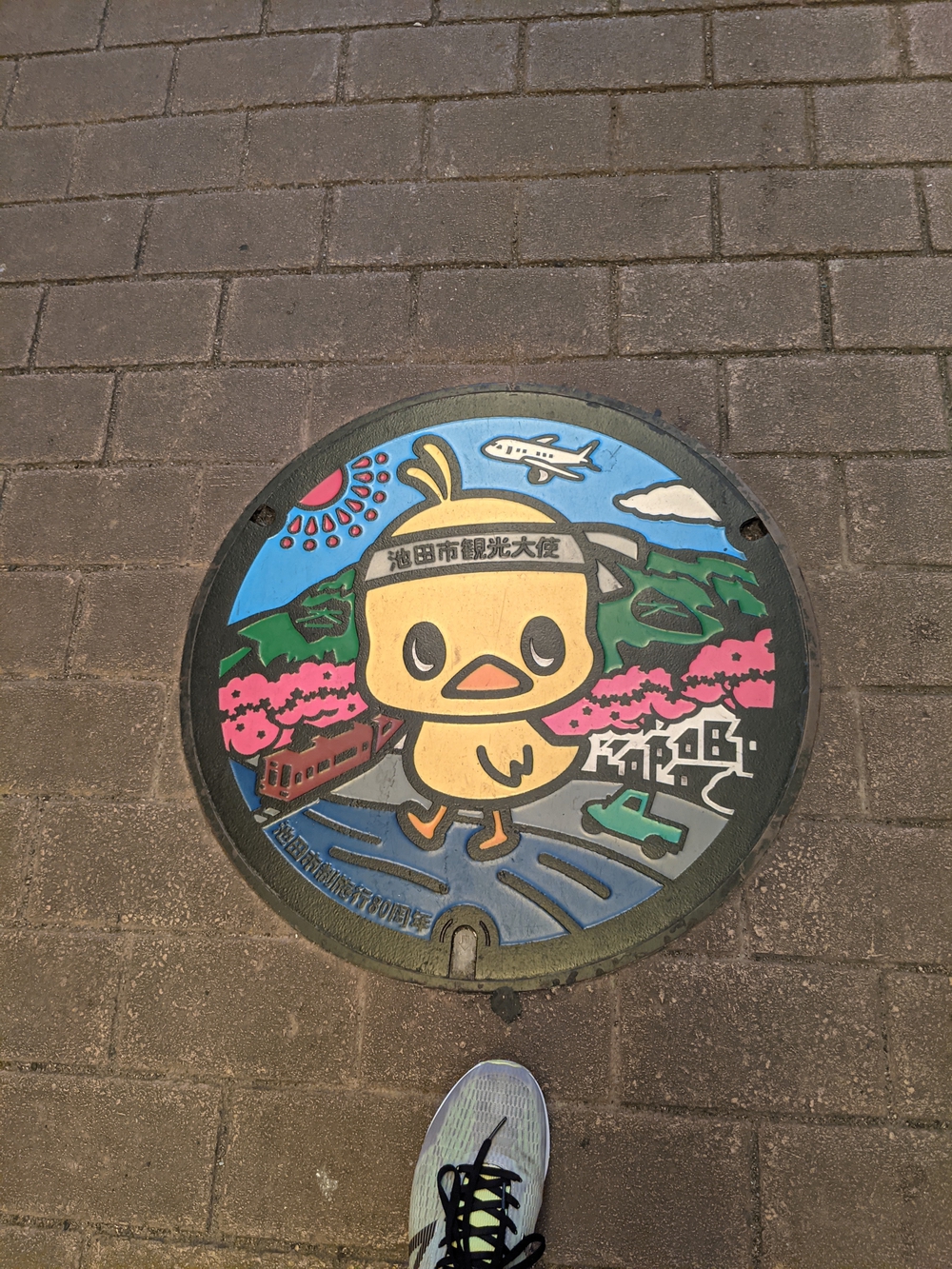 ぐるっと伊丹空港ハーフ豊中池田伊丹尼崎の写真3