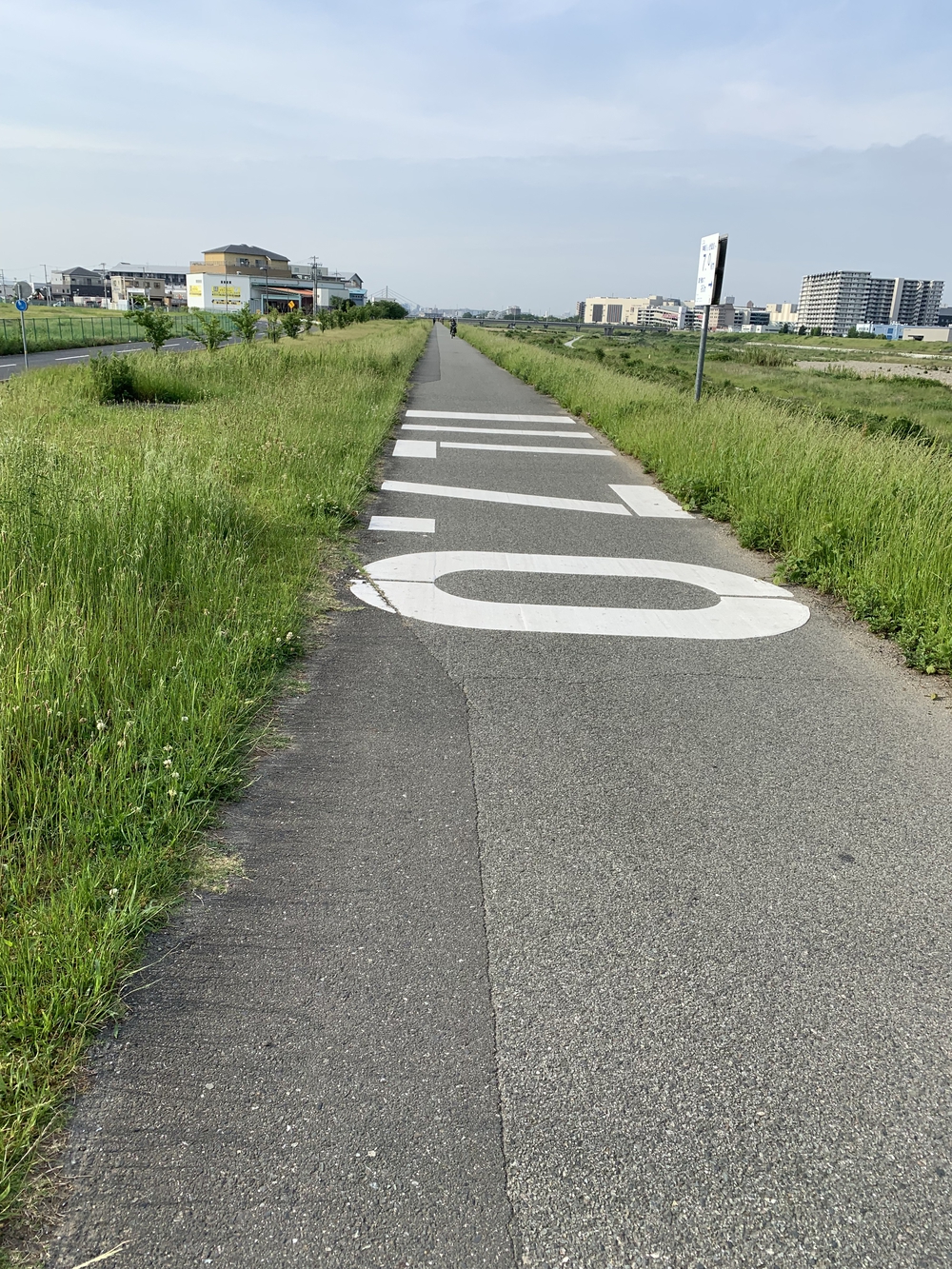ぐるっと伊丹空港ハーフ豊中池田伊丹尼崎の写真4