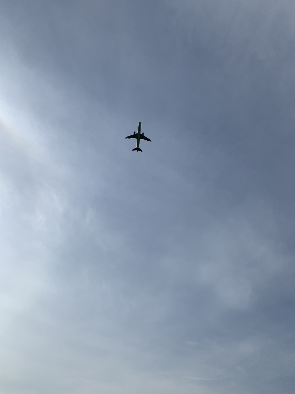 ぐるっと伊丹空港ハーフ豊中池田伊丹尼崎の写真5