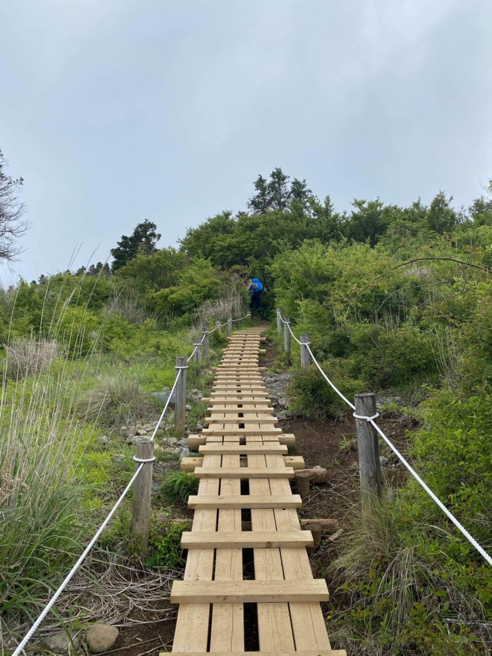 丹沢日帰り縦走8時間の写真6