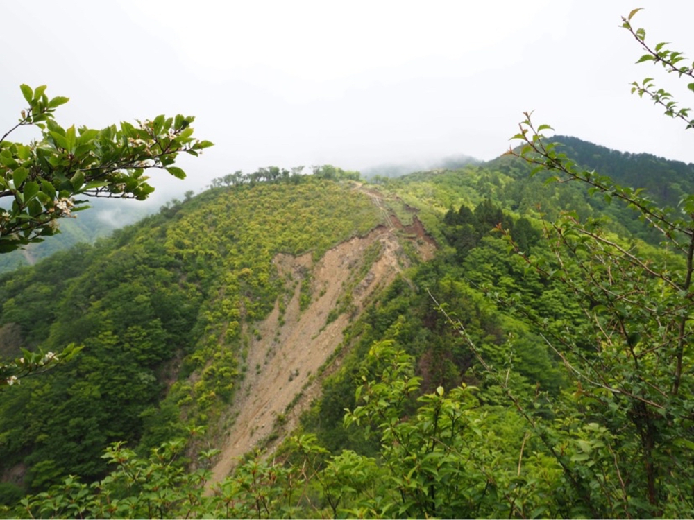 丹沢日帰り縦走8時間の写真9