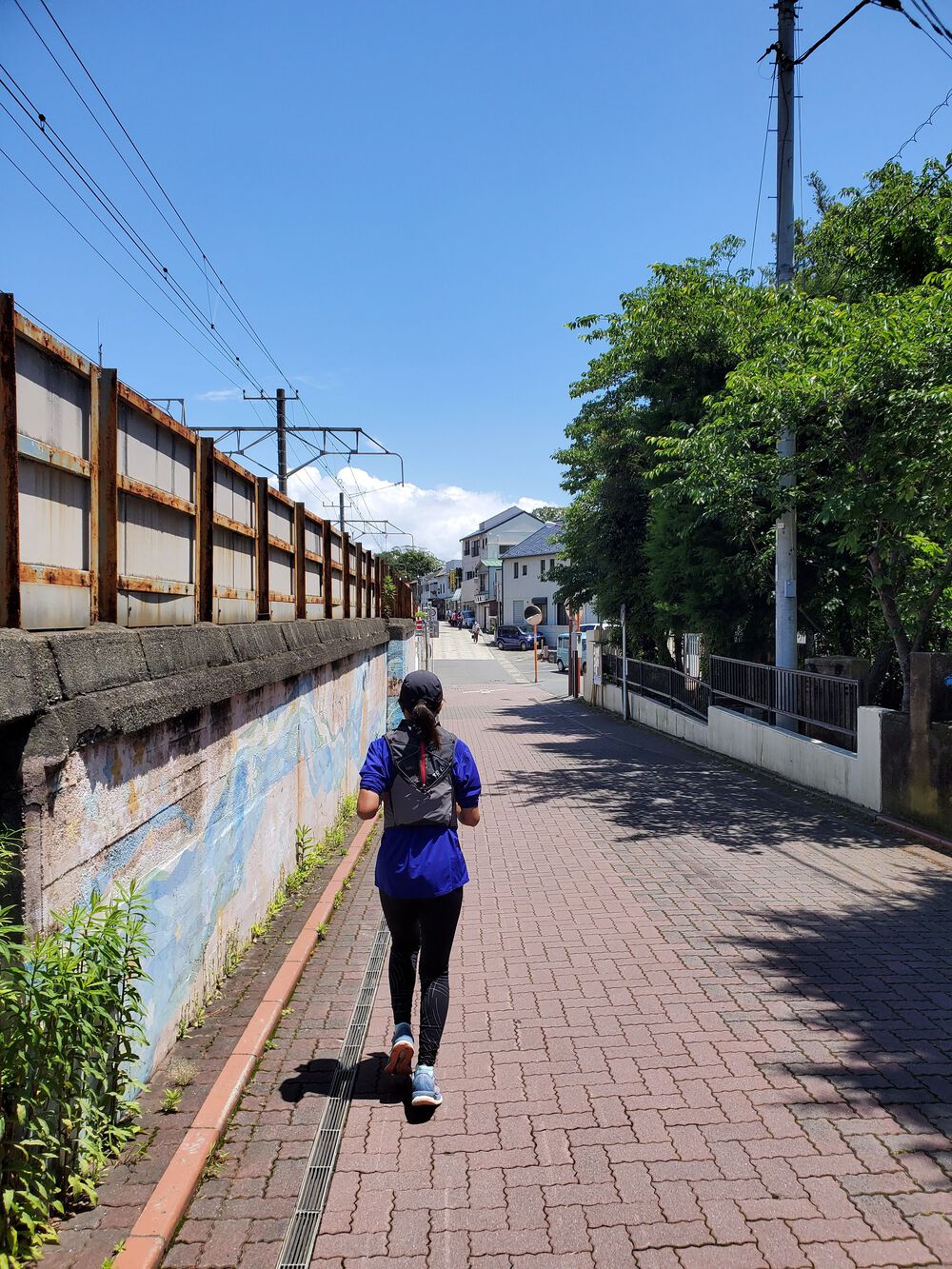 大磯町RUN🏃‍♂️🏃‍♀️💨の写真3