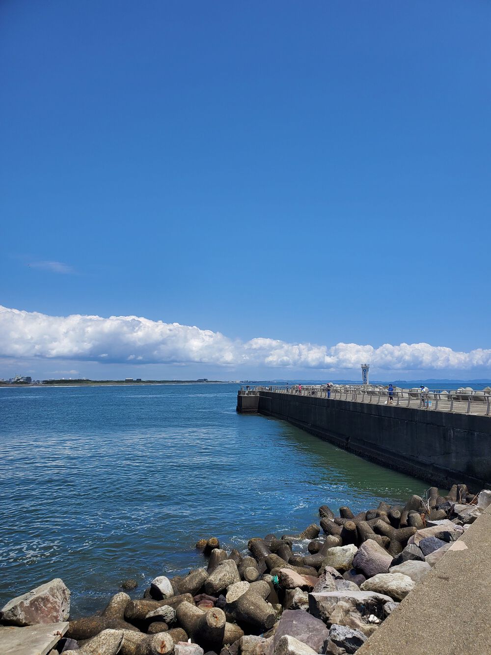 大磯町RUN🏃‍♂️🏃‍♀️💨の写真6