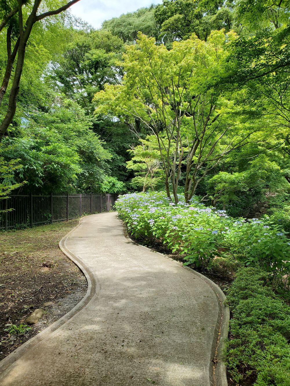 大磯町RUN🏃‍♂️🏃‍♀️💨の写真10