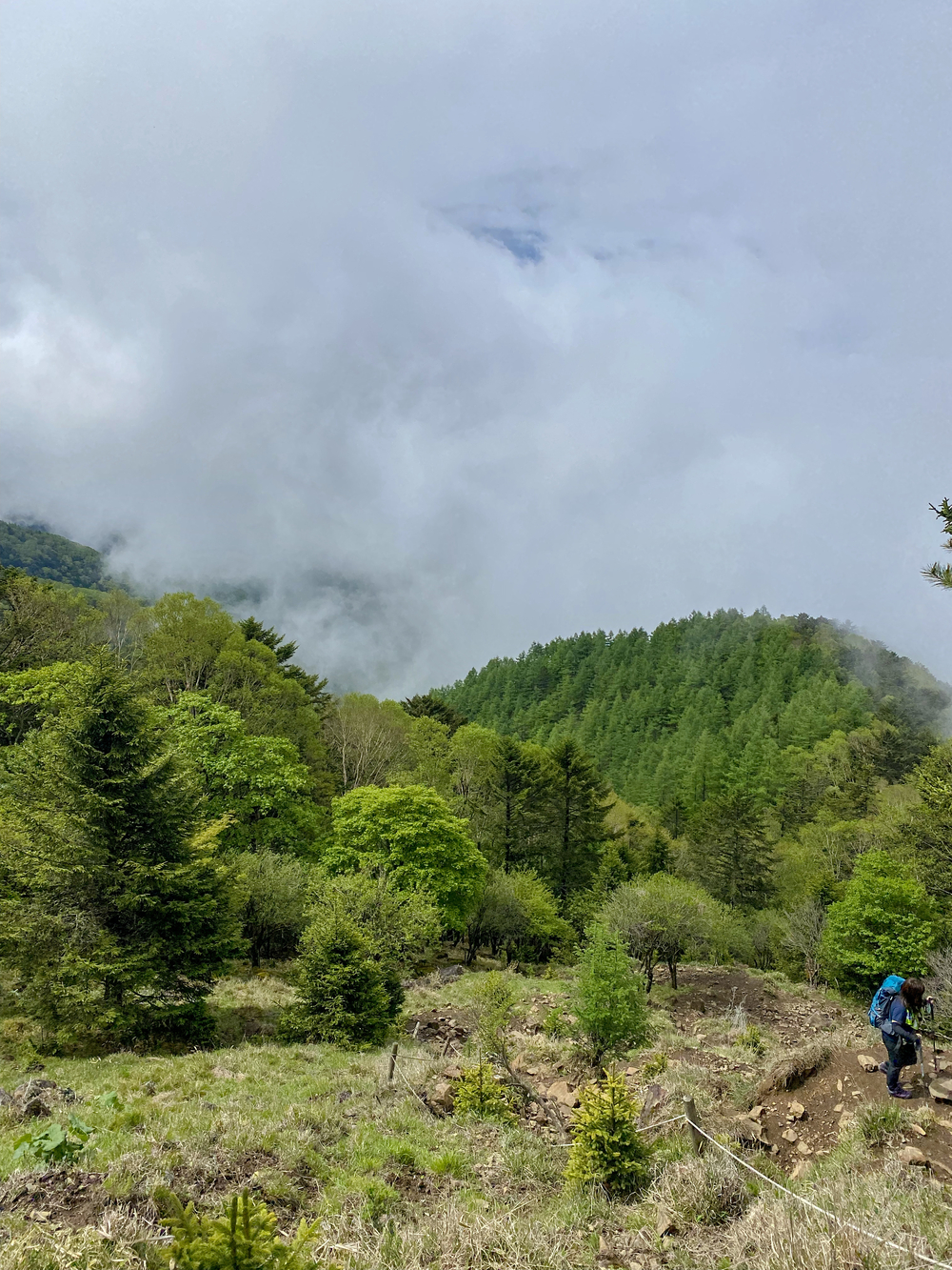 大菩薩嶺縦走トレランの写真3