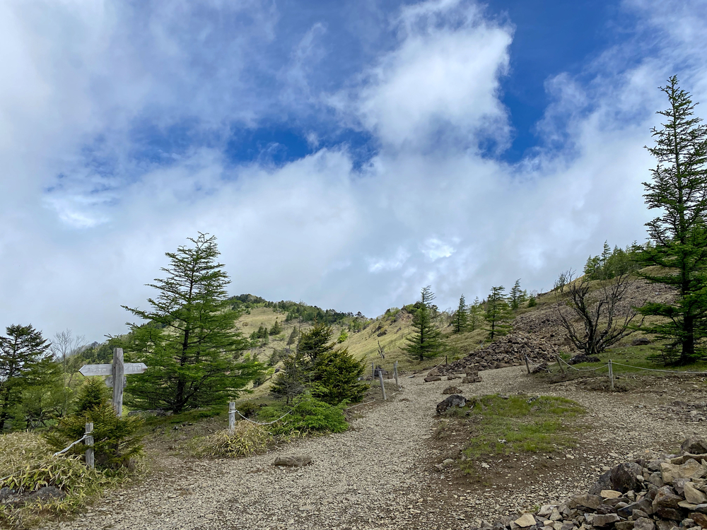 大菩薩嶺縦走トレランの写真8