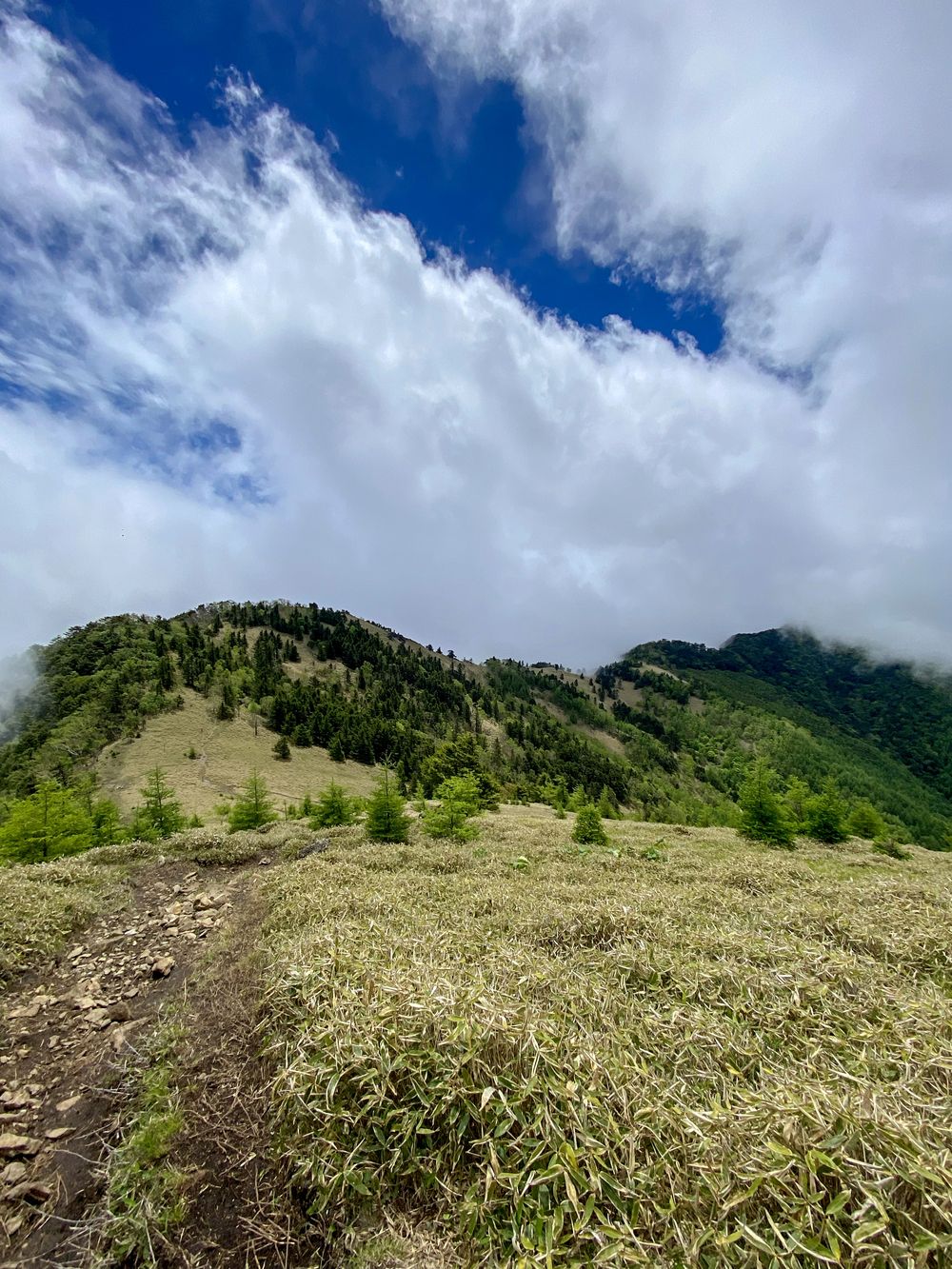 大菩薩嶺縦走トレランの写真11
