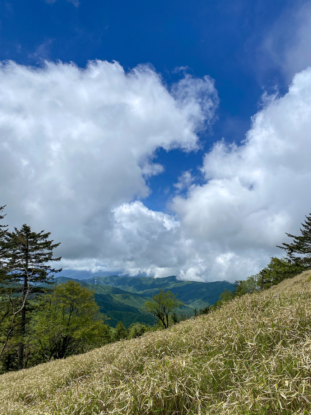 大菩薩嶺縦走トレランの写真13