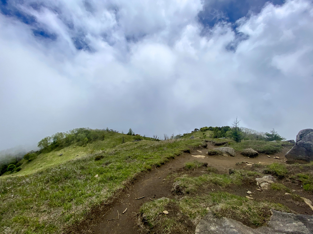 大菩薩嶺縦走トレランの写真16