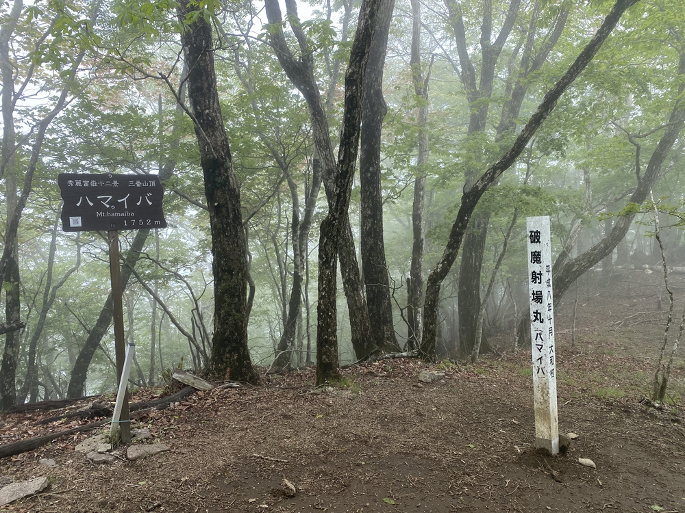 大菩薩嶺縦走トレランの写真18