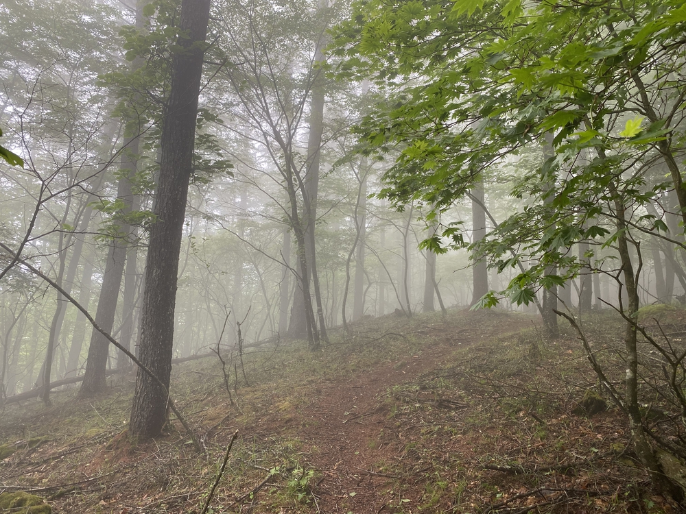 大菩薩嶺縦走トレランの写真19