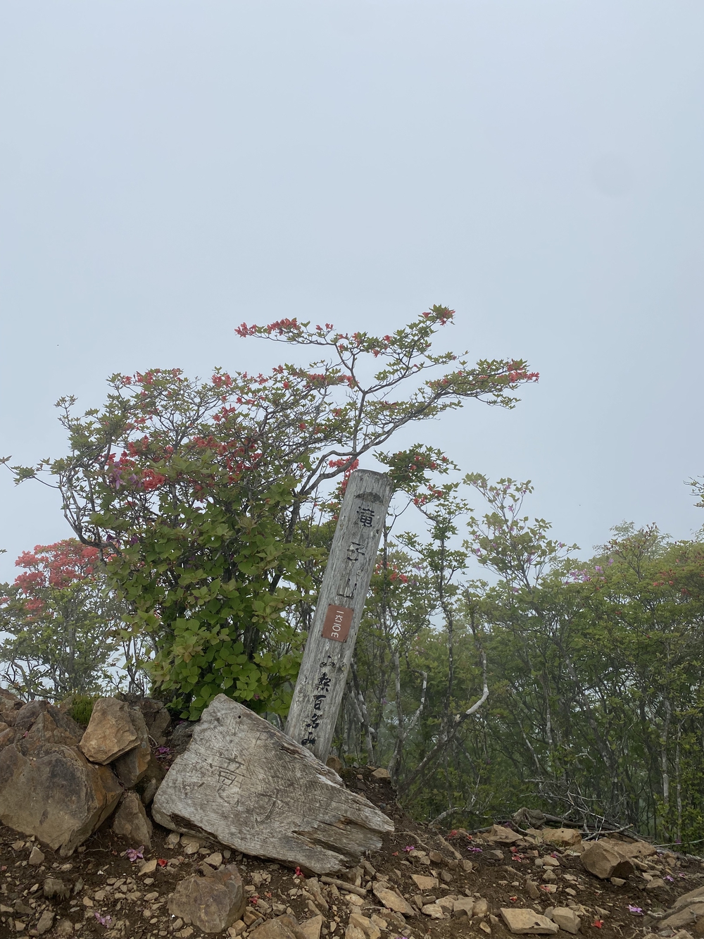 大菩薩嶺縦走トレランの写真20