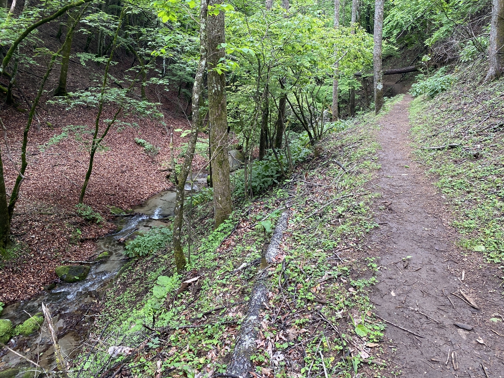 大菩薩嶺縦走トレランの写真22