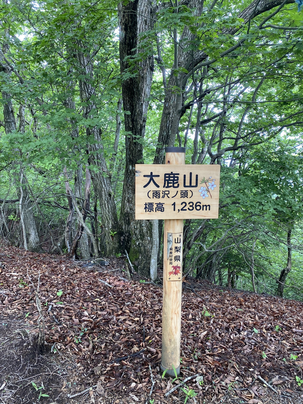 大菩薩嶺縦走トレランの写真23