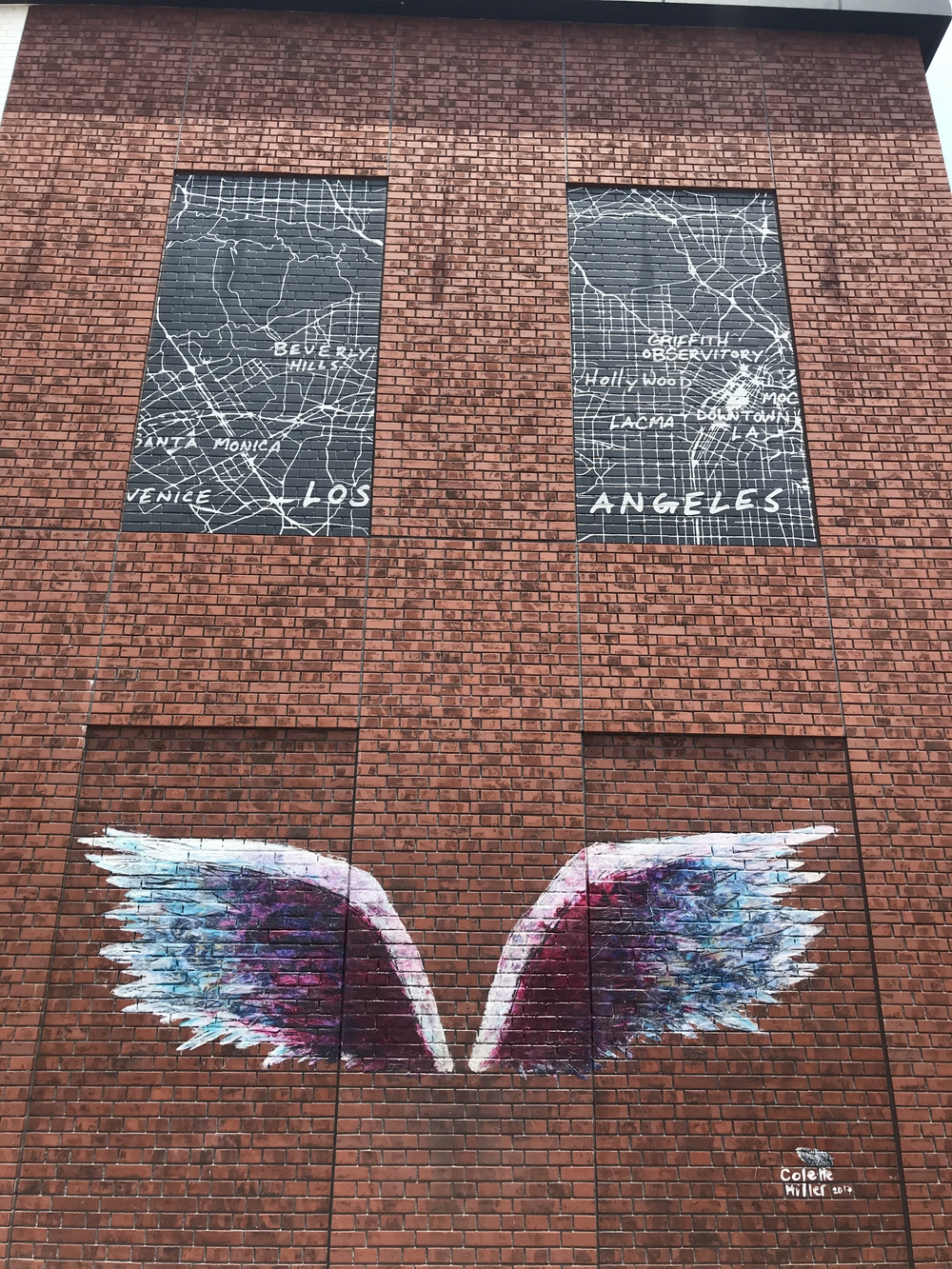 横浜Cityラン15kの写真5