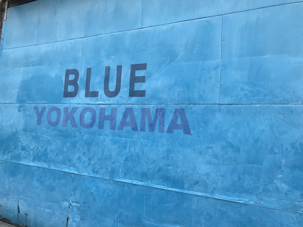 横浜Cityラン15kの写真6