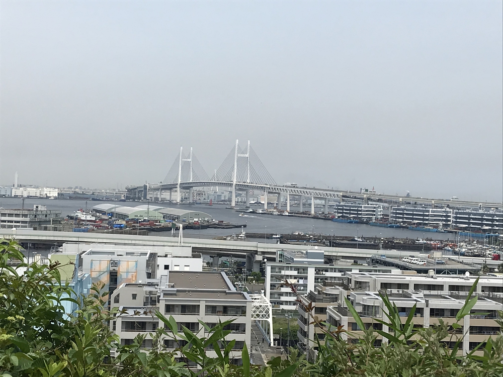 横浜Cityラン15kの写真9