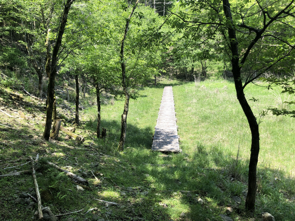 竜ヶ岳→端足峠→割石峠トレイルランの写真6