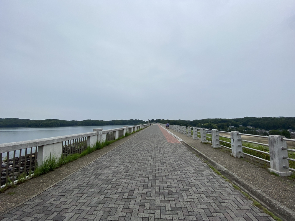 狭山湖＋トトロの森＋比良丘＋湿地帯＋多摩湖⅔周の写真3