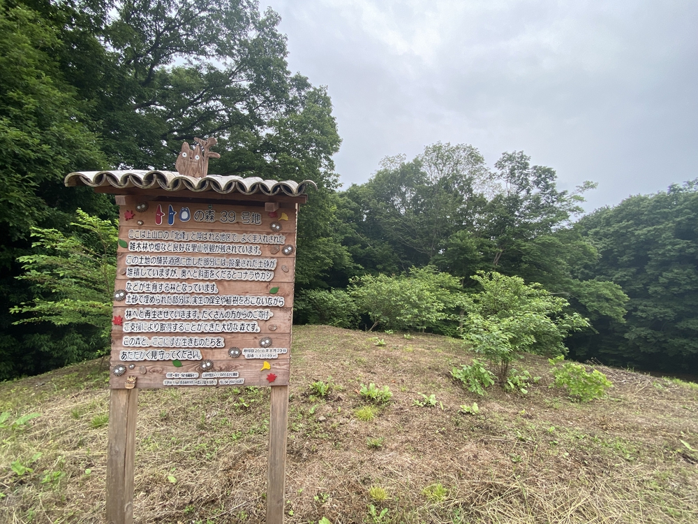 狭山湖＋トトロの森＋比良丘＋湿地帯＋多摩湖⅔周の写真8