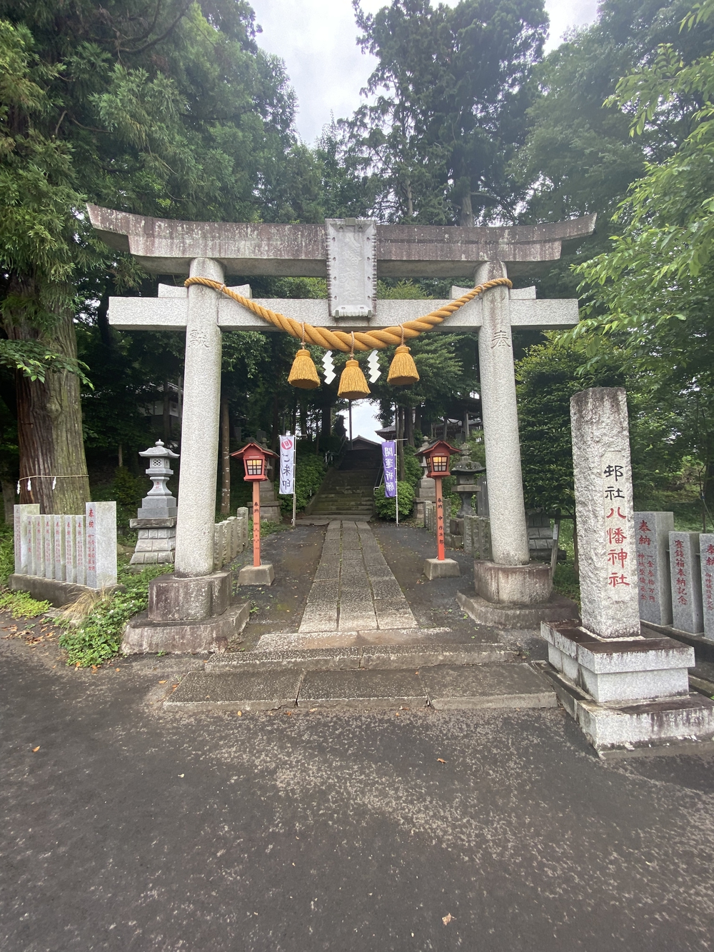 狭山湖＋トトロの森＋比良丘＋湿地帯＋多摩湖⅔周の写真12