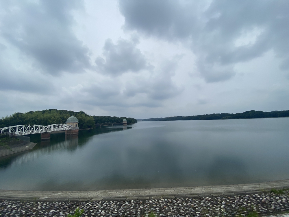 狭山湖＋トトロの森＋比良丘＋湿地帯＋多摩湖⅔周の写真17