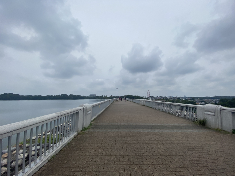 狭山湖＋トトロの森＋比良丘＋湿地帯＋多摩湖⅔周の写真18