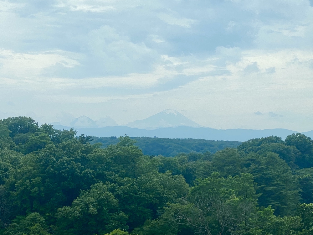 狭山湖＋トトロの森＋比良丘＋湿地帯＋多摩湖⅔周の写真19