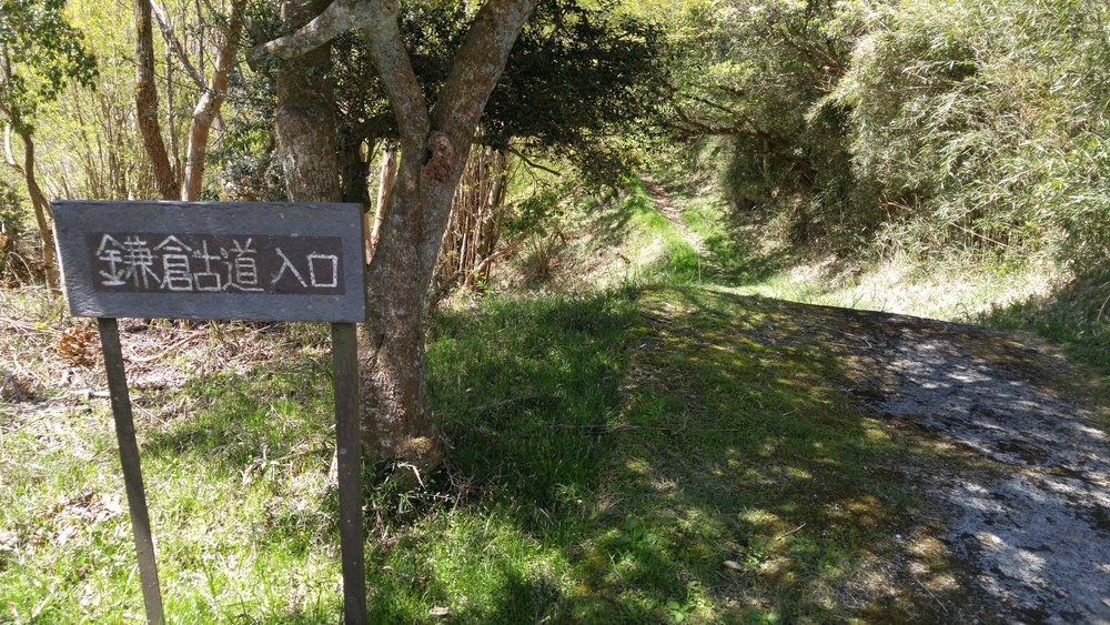 標高差800ｍ以上の古道トレイルを往く：平安鎌倉古道（箱根～三島）の写真6