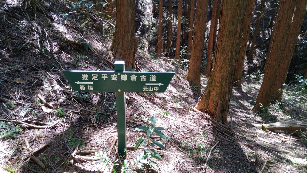 標高差800ｍ以上の古道トレイルを往く：平安鎌倉古道（箱根～三島）の写真7