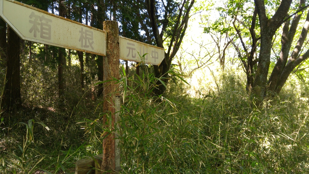 標高差800ｍ以上の古道トレイルを往く：平安鎌倉古道（箱根～三島）の写真12