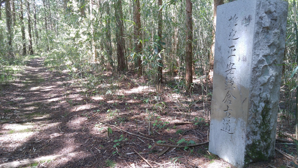 標高差800ｍ以上の古道トレイルを往く：平安鎌倉古道（箱根～三島）の写真14