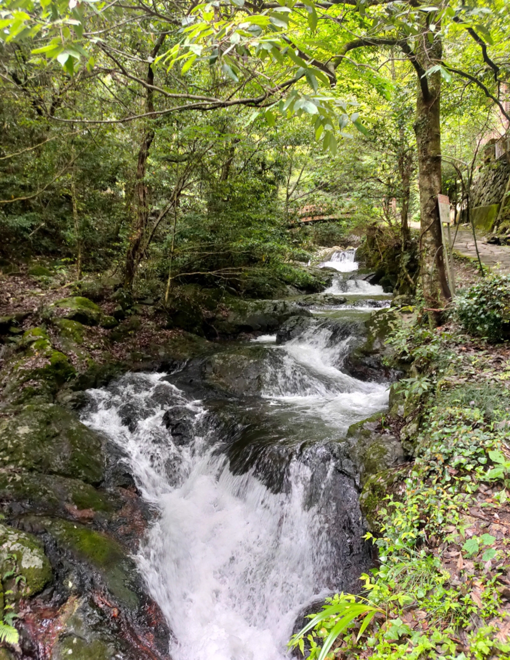 マイナスイオンだらけ 滝ランの写真3
