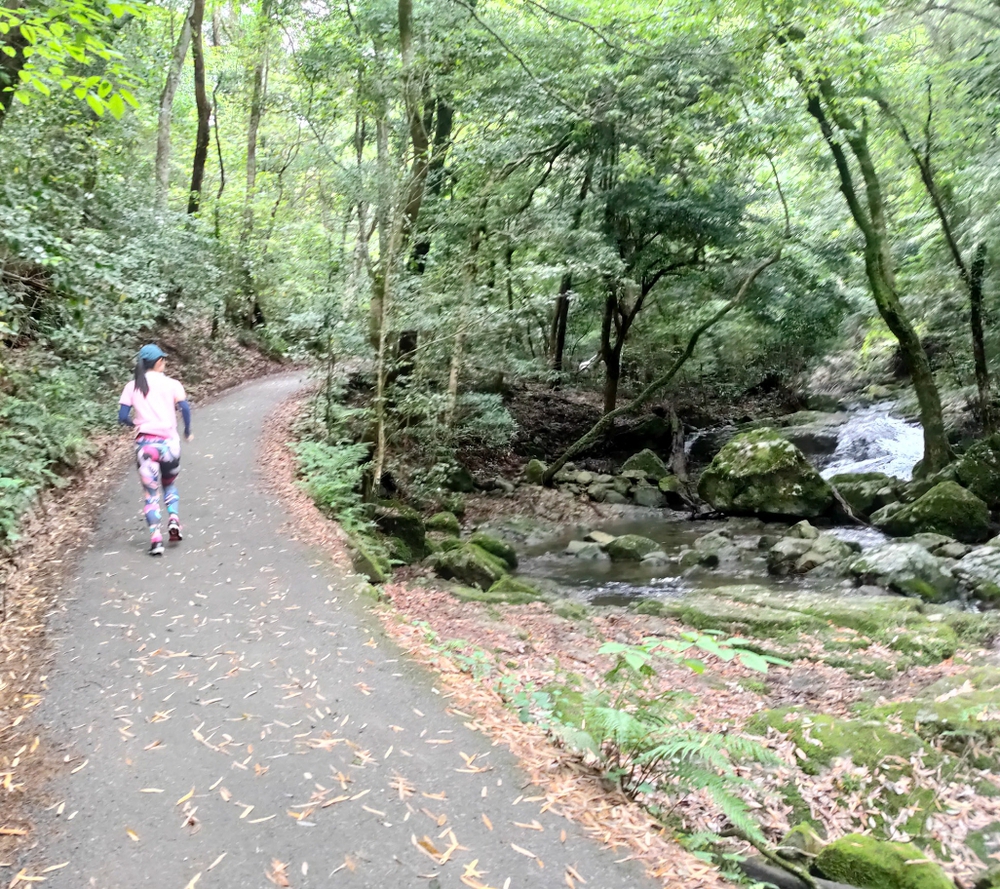 マイナスイオンだらけ 滝ランの写真4