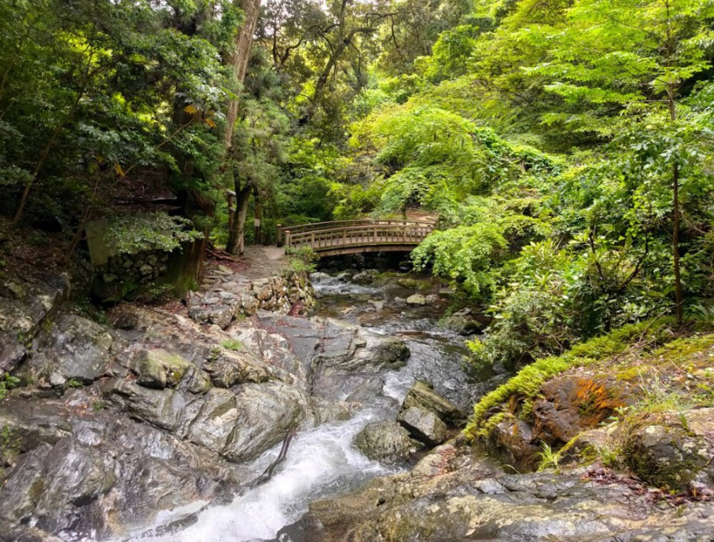 マイナスイオンだらけ 滝ランの写真5