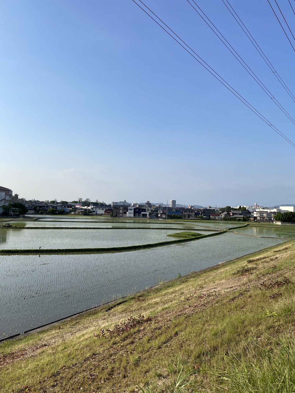 庄内川周回ラン　名古屋市守山区〜春日井市の写真3