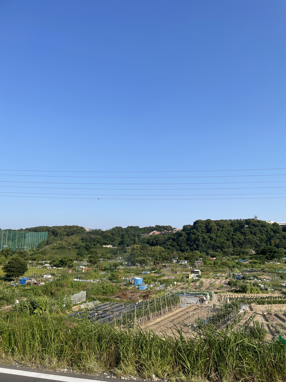 庄内川周回ラン　名古屋市守山区〜春日井市の写真4