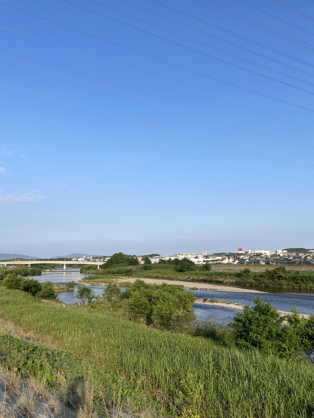 庄内川周回ラン　名古屋市守山区〜春日井市の写真6