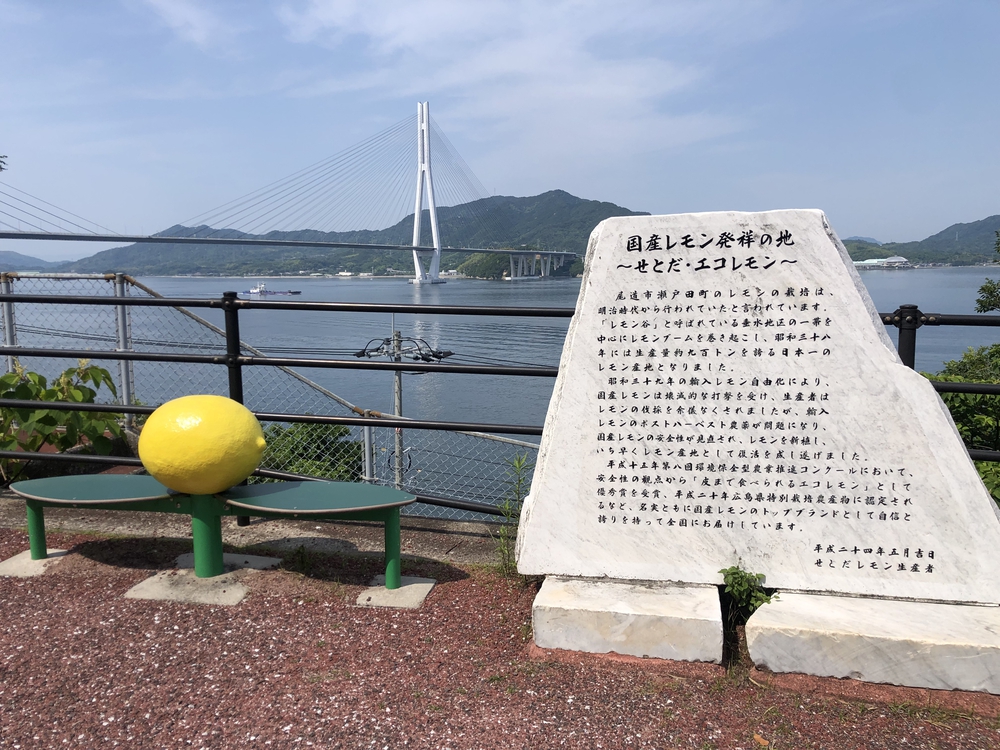 しまなみ海道走破(フェリー＋ RUN)の写真10