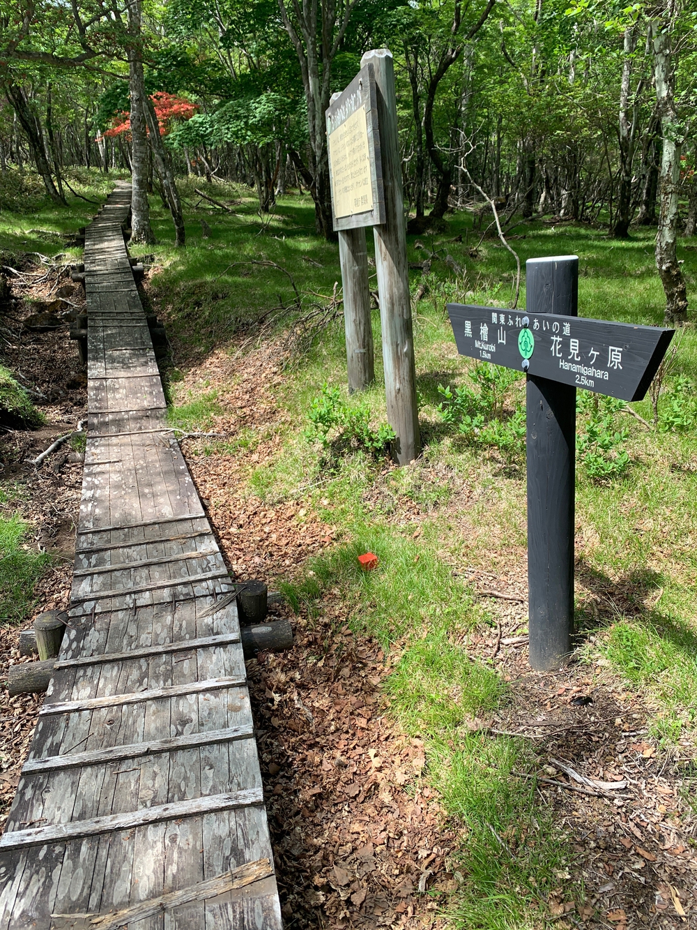 赤城山トレランの写真3