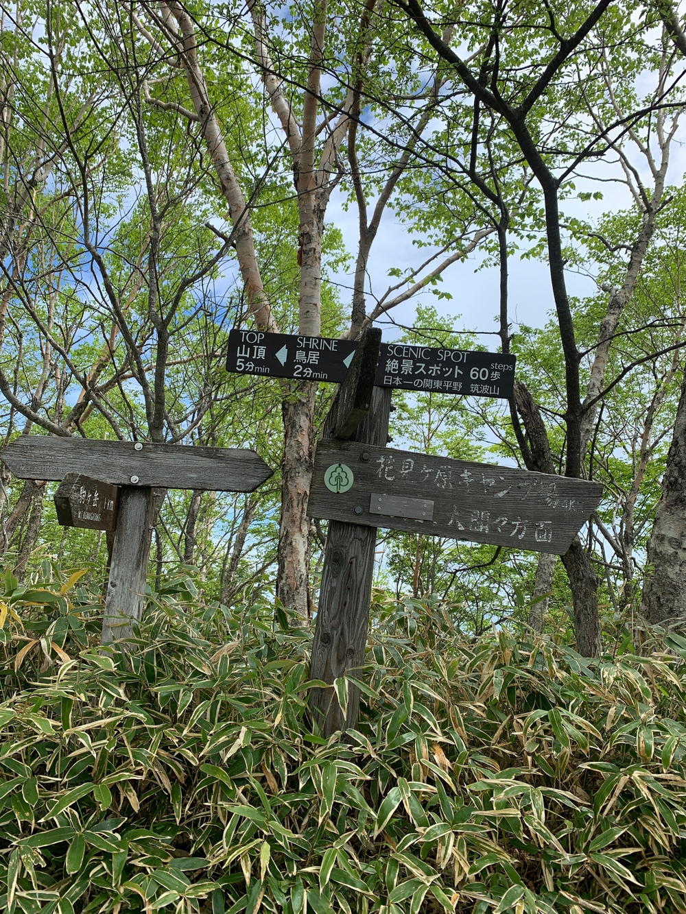 赤城山トレランの写真4