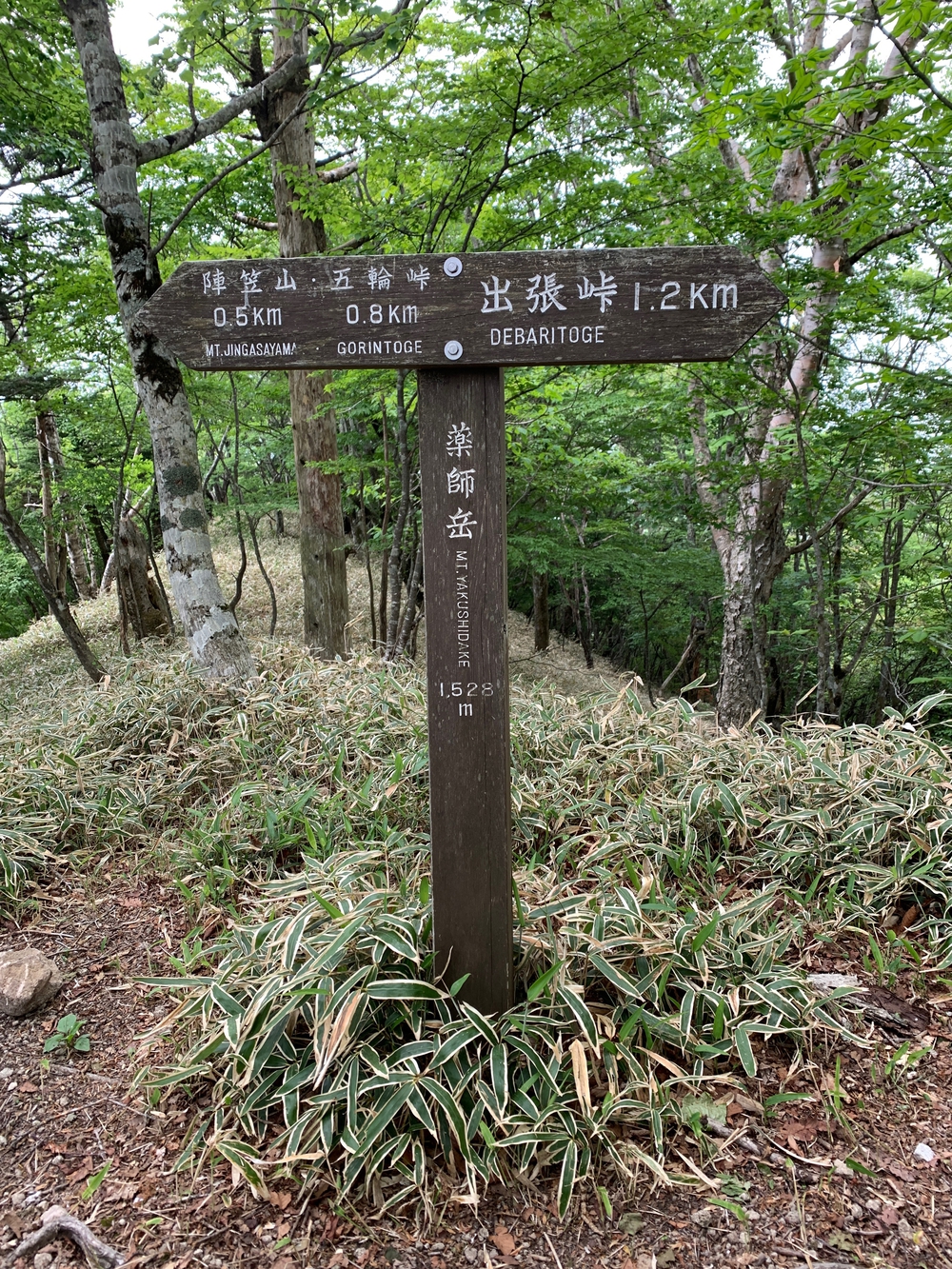 赤城山トレランの写真5